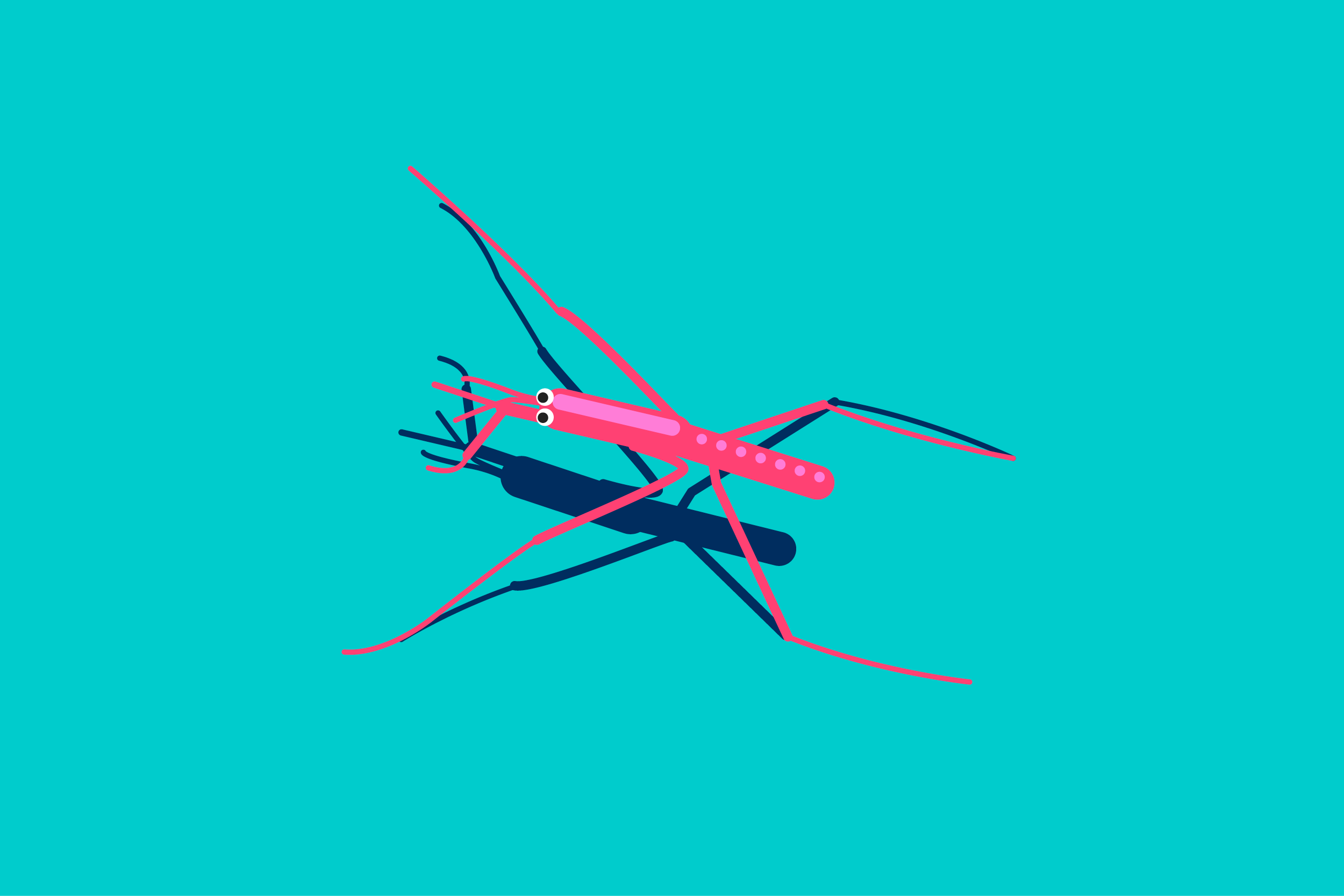 illustration water strider