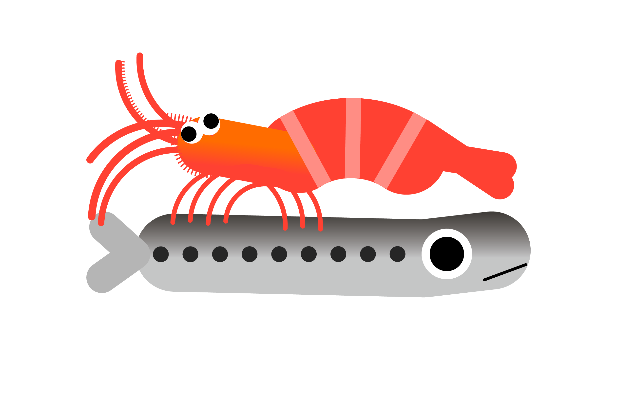 Linelobs character art, fish and shrimp illustration